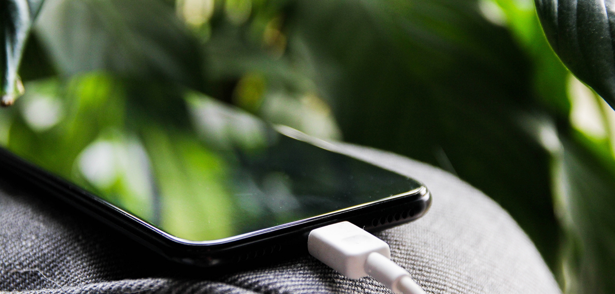Smartphone mit angeschlossenem Ladekabel liegt auf grauem Stoff, umgeben von grünen Blättern.